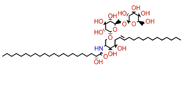 Amphimelibioside D